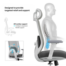 Load image into Gallery viewer, VELE Ergonomic chair - Mydesk.sg