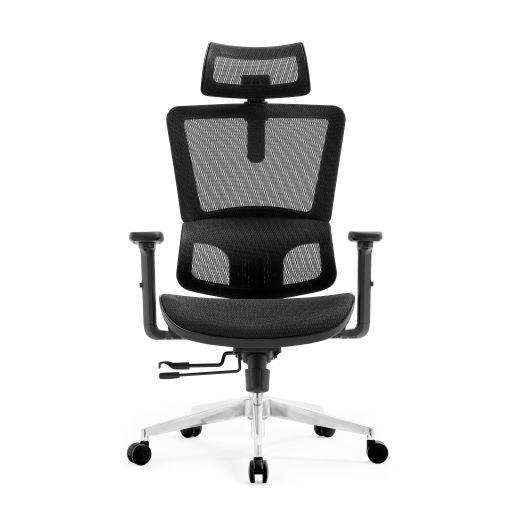 ERGO Full Mesh Ergonomic Chair Mann & Co