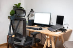 Ergonomic Office Chair vs. Regular Chair: What’s the Difference? - MyDesk.SG