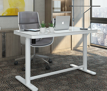LUCA Electric Standing Desk