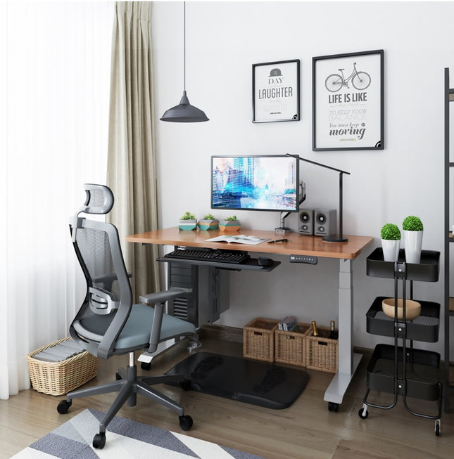 ET223(IB) Dual Motor Electric Standing Desk