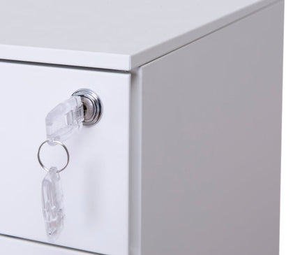 Steel Mobile Pedestal With 2 Drawer 1 Filing (L300 - Slim)