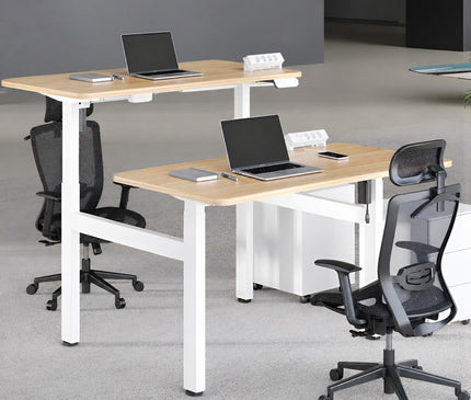 Mydesk.SG Dual Workstation Electric Standing Desk 