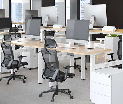 Mydesk.SG Dual Workstation Electric Standing Desk 