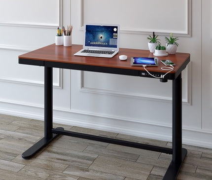 LUCA Electric Standing Desk