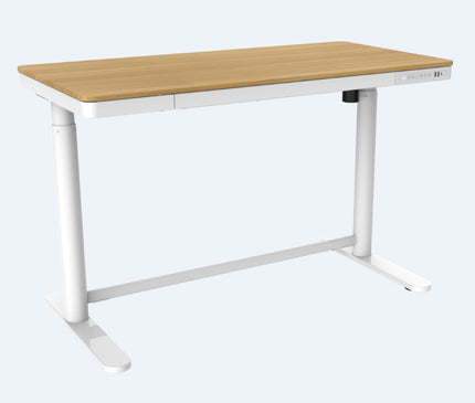 LUCA Electric Standing Desk