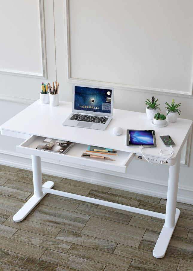 LUCA Electric Standing Desk