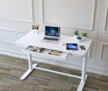 LUCA Electric Standing Desk