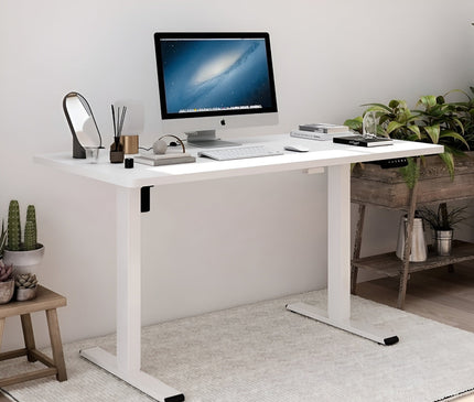 FLEXI Electric Standing Desk