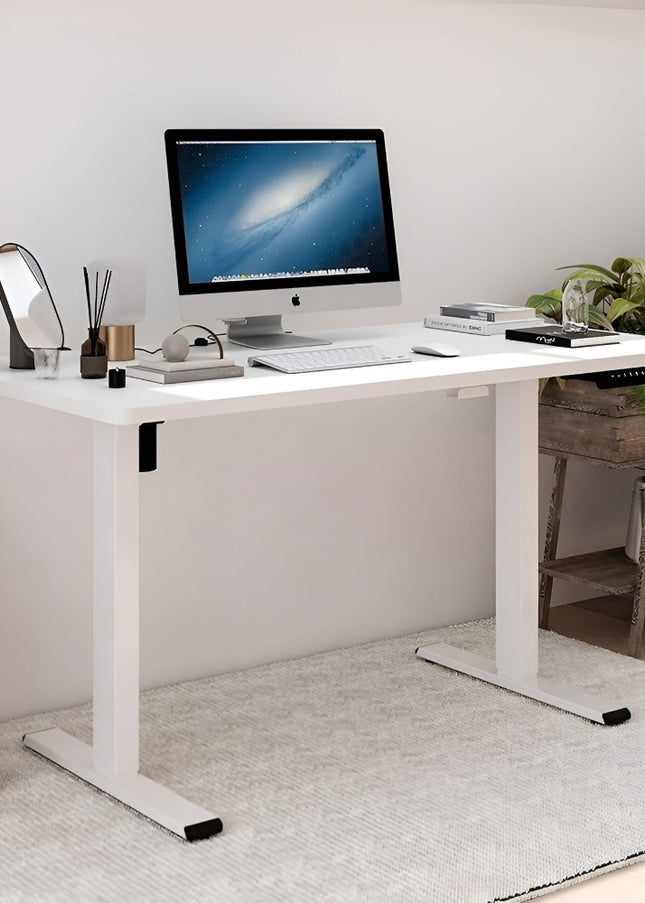 FLEXI Electric Standing Desk