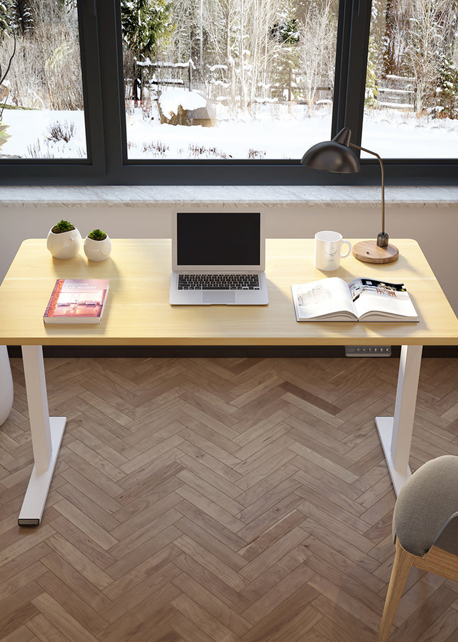 FLEXI - Electric Standing Desk