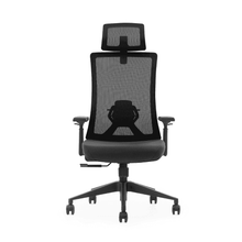 Load image into Gallery viewer, K9 Ergonomic chair
