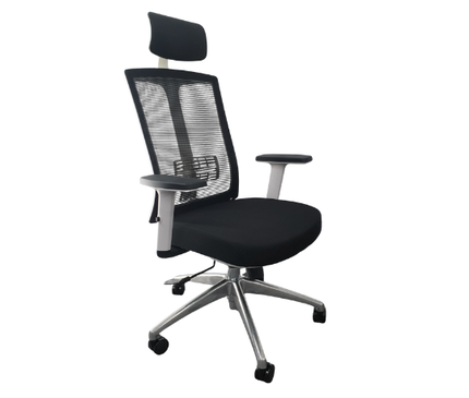 KW34H Stylish White Frame Executive Chair