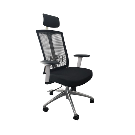 KW34H Stylish White Frame Executive Chair