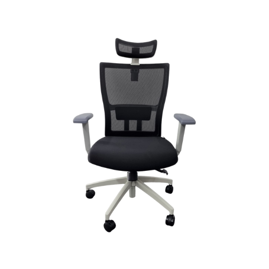 M1S Ergonomic Executive Chair