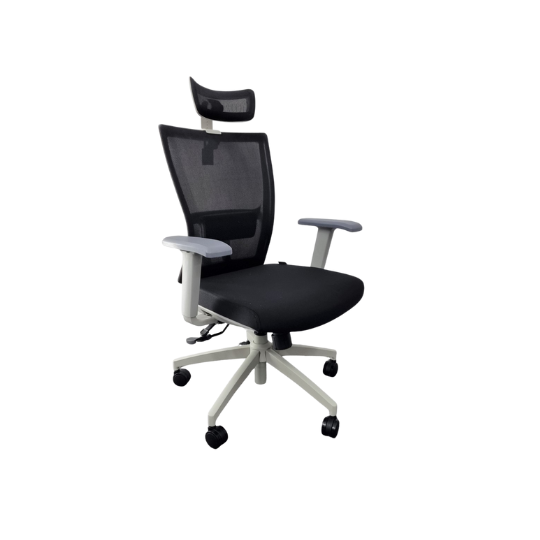 M1S Ergonomic Executive Chair