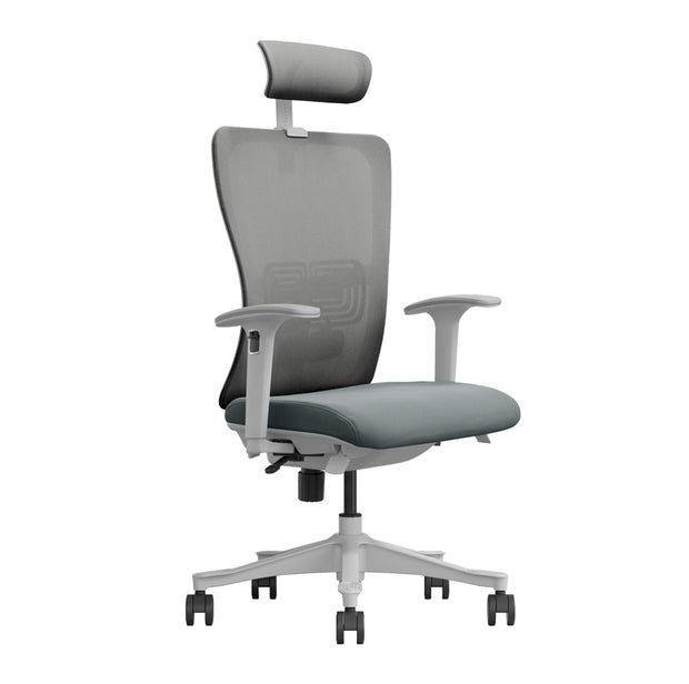 <h3>Ergonomic Office Chair</h3>