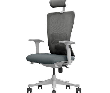 SK5-GM Ergonomic Office Chair - Grey Frame (NEW)