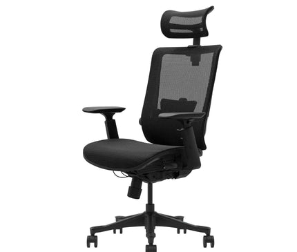 Mesh ergonomic chair