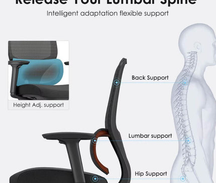 An ergonomic office chair with a curved lumbar support.