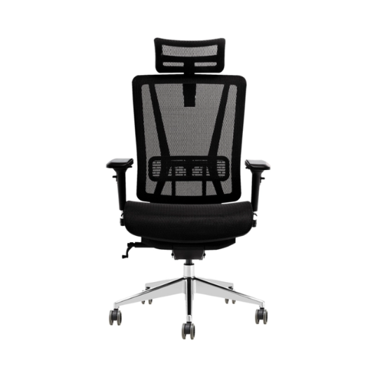 T-086 Luxury Ergonomic Executive Chair