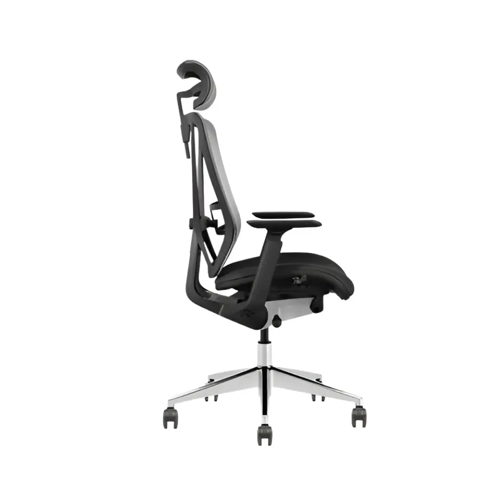 T1-C01 Executive Ergonomic Chair (New)