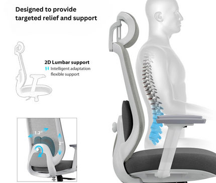 VELE Ergonomic chair - Mydesk.sg