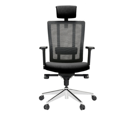X3S Ergonomic Executive Chair