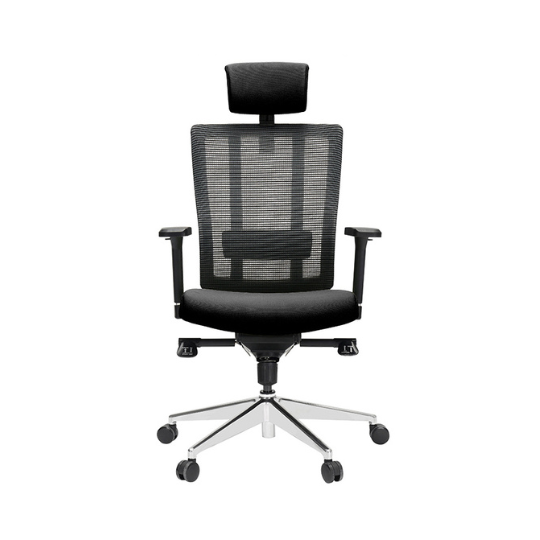 X3S Ergonomic Executive Chair