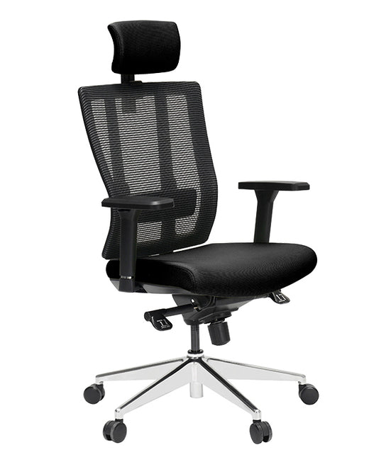 X3S Ergonomic Executive Chair - MyDesk.SG