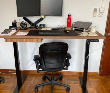 ET223(IB) Dual Motor Electric Standing Desk - MyDesk.SG
