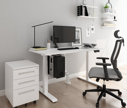 ET223(IB) Dual Motor Electric Standing Desk - MyDesk.SG