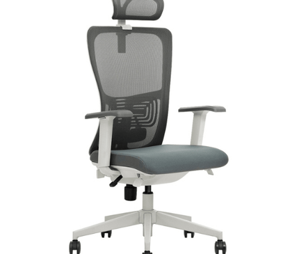 K5 - GH Ergonomic Executive Chair - MyDesk.SG