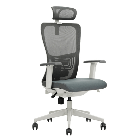 K5 - GH Ergonomic Executive Chair - MyDesk.SG