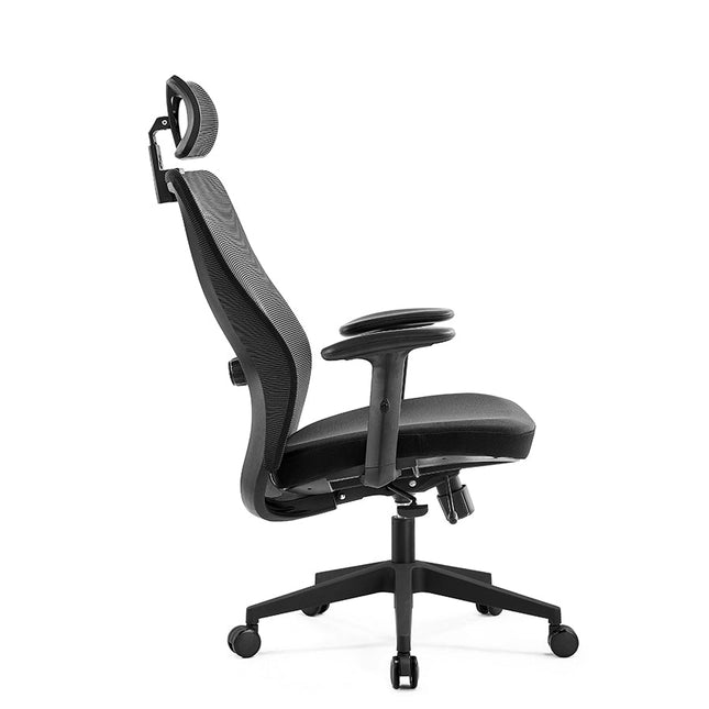 Lalo - Ergonomic Office Chair - MyDesk.SG
