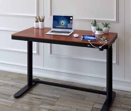 Walnut Color Electric Standing desk in a modern office setting
