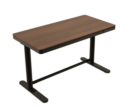 Walnut Color Electric Standing desk in a modern office setting