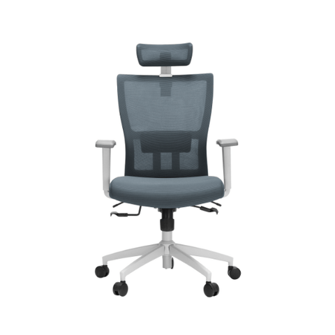 M1S Ergonomic Executive Chair