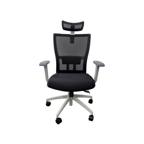 M1S Ergonomic Executive Chair