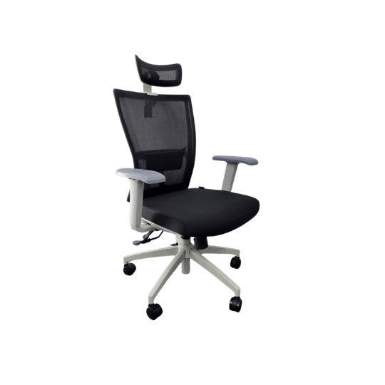 M1S Ergonomic Executive Chair