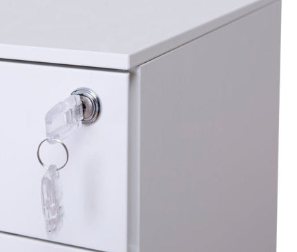 Steel Mobile Pedestal With 2 Drawer 1 Filing (L300 - Slim) - MyDesk.SG