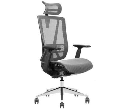 Full Mesh Ergonomic office chair Singapore in grey color with adjustable armrest and lumbar support.