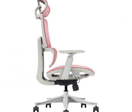 T8 Full Mesh Ergonomic Chair (New) - MyDesk.SG