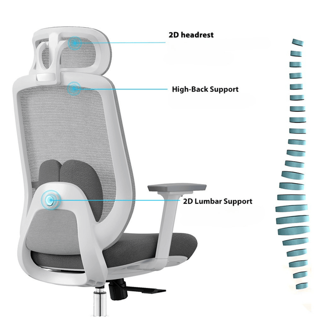 VELA - Ergonomic Office Chair - MyDesk.SG