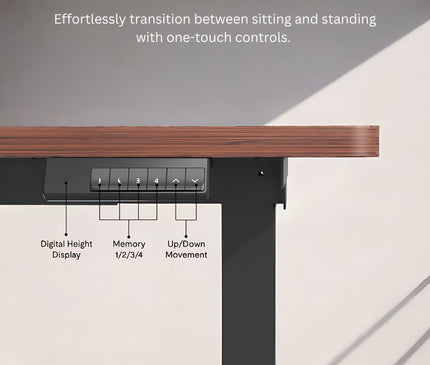 WE5 - Electric Standing Desk (Dual Motor)