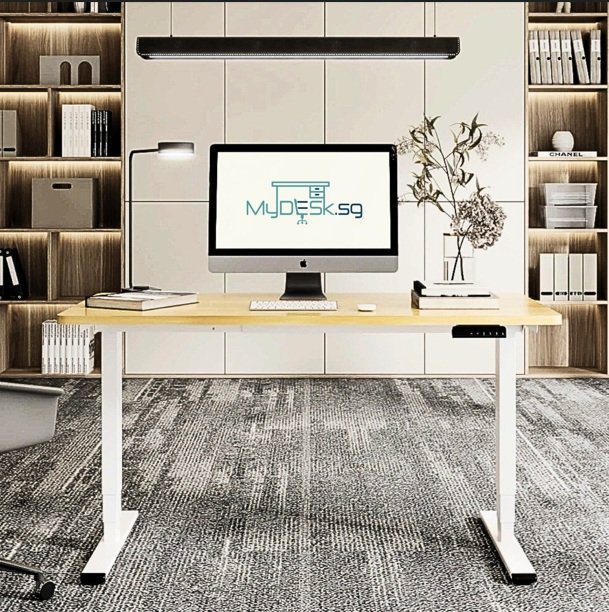 WE5 - Electric Standing Desk (Dual Motor)
