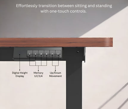 WE5 - Electric Standing Desk (Dual Motor) - MyDesk.SG