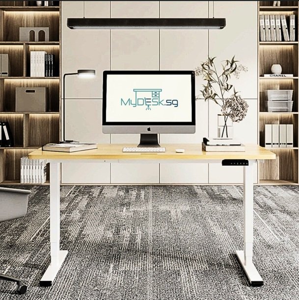 WE5 - Electric Standing Desk (Dual Motor) - MyDesk.SG