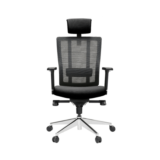 X3S Ergonomic Executive Chair - MyDesk.SG