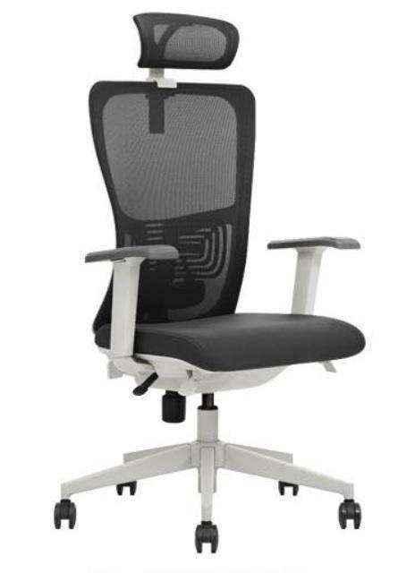 K5-GM Ergonomic Executive Chair